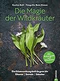 Wildkräuter Kochbuch: Die Magie der Wildkräuter. Eine...
